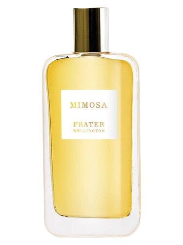 Mimosa by Frater