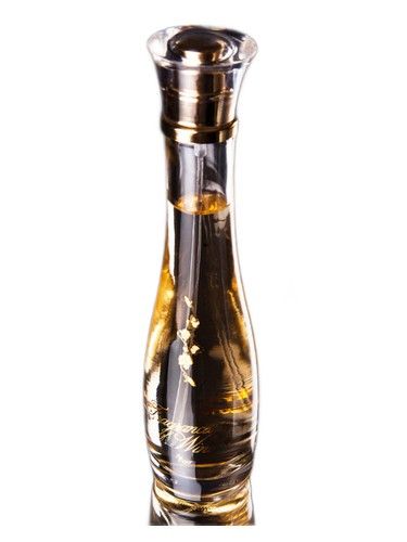 Noir by Fragrances of Wine