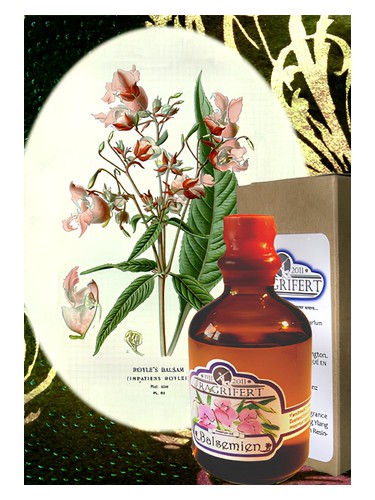 Balsemien by Fragrifert Parfumeur