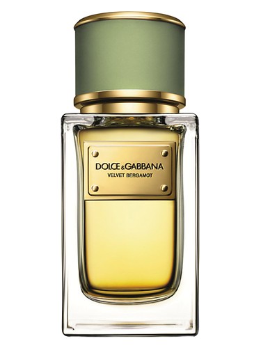 Velvet Bergamot by Dolce&Gabbana