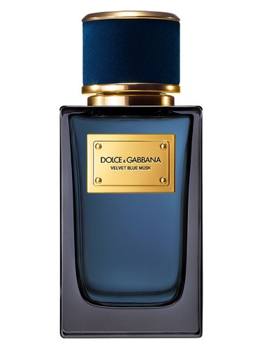 Velvet Blue Musk by Dolce&Gabbana