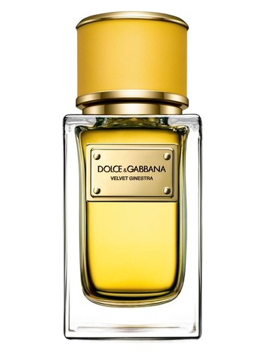 Velvet Ginestra by Dolce&Gabbana