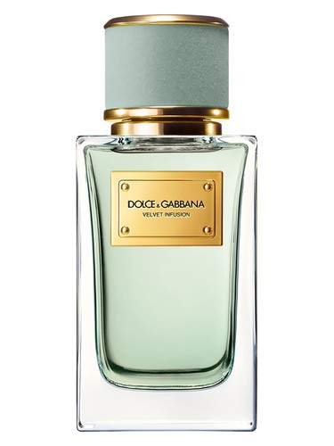 Velvet Infusion by Dolce&Gabbana