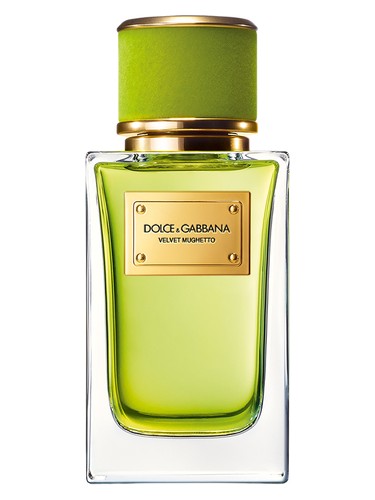 Velvet Mughetto by Dolce&Gabbana