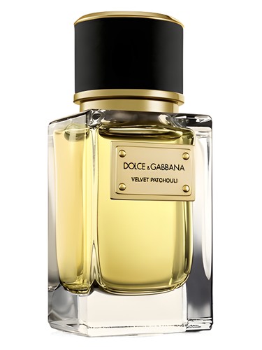 Velvet Patchouli by Dolce&Gabbana