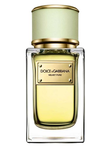 Velvet Pure by Dolce&Gabbana