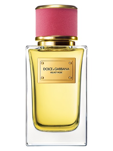 Velvet Rose by Dolce&Gabbana