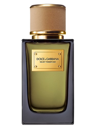 Velvet Tender Oud by Dolce&Gabbana