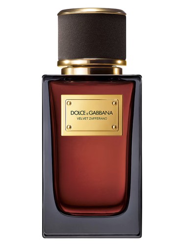 Velvet Zafferano by Dolce&Gabbana