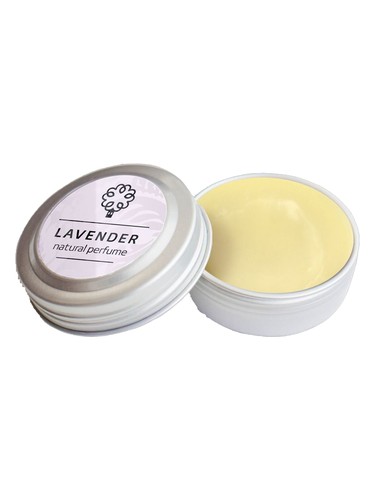 Lavender by Dom Prirody