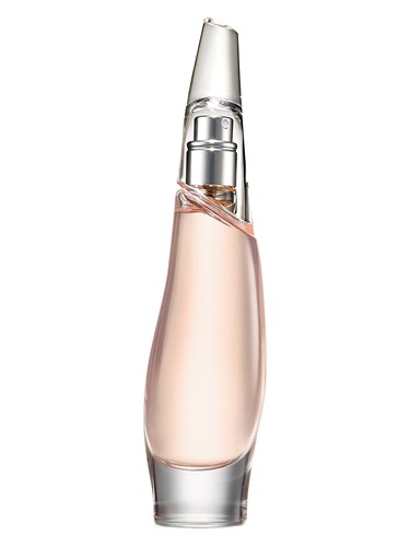 Liquid Cashmere Blush by Donna Karan