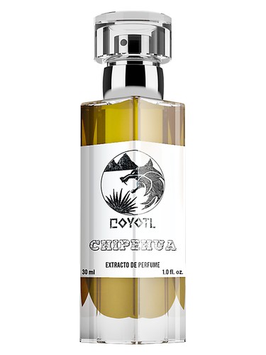 Chipehua by Coyotl