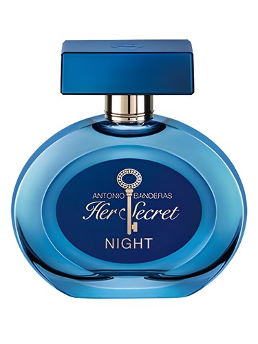 Her Secret Night by Antonio Banderas