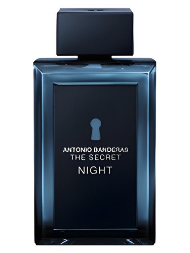 The Secret Night by Antonio Banderas
