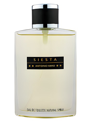 Siesta by Antonio Miro