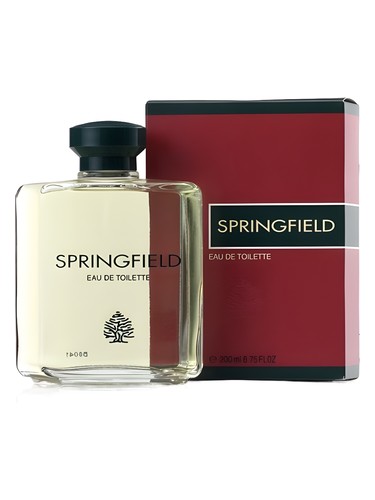 Springfield by Antonio Puig