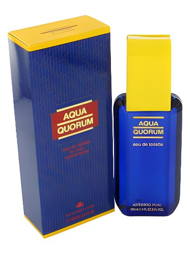 Aqua Quorum by Antonio Puig