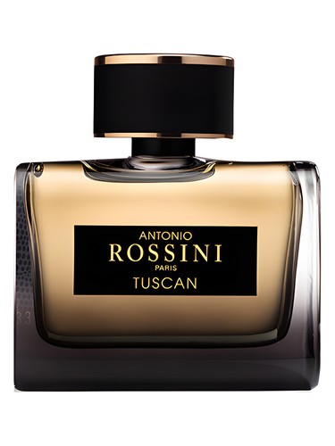 Tuscan by Antonio Rossini