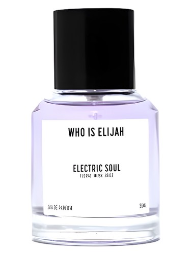 Electric Soul by Who is Elijah