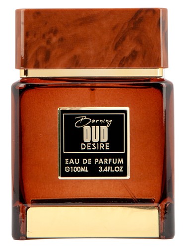 Burning Oud Desire by Flavia