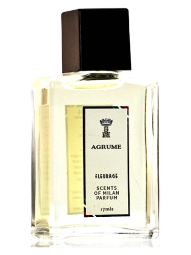 Agrume by Fleurage