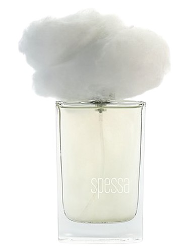 Nebbia Spessa by Filippo Sorcinelli
