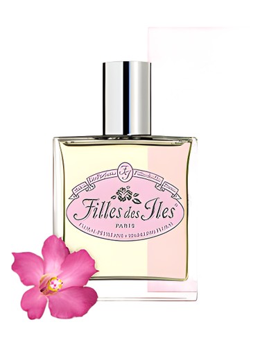 Floral Pettilant by Filles des Iles