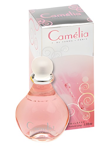 Camelia by Corine de Farme