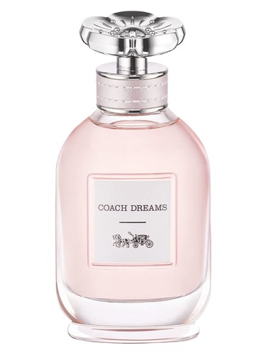 Dreams by Coach