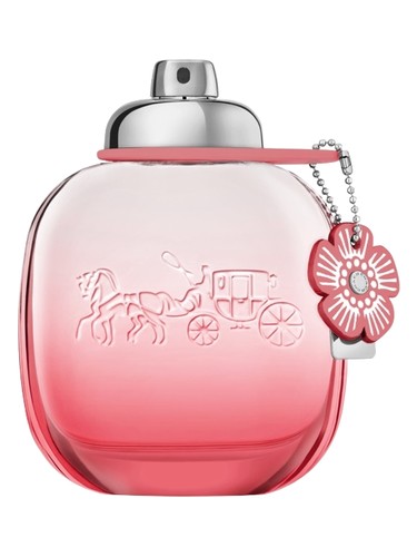 Floral Blush by Coach