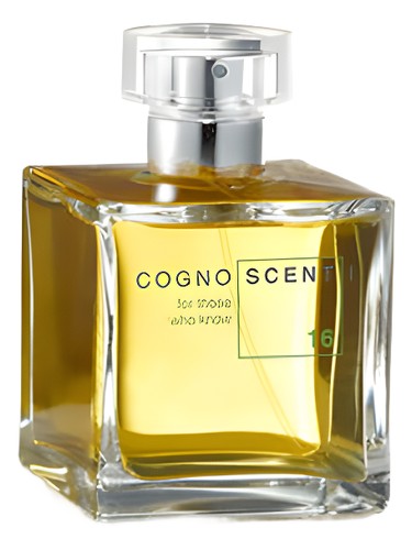 No 16 Tomato Leather by Cognoscenti