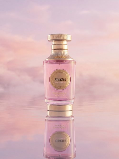 Attractus by PARIS CORNER