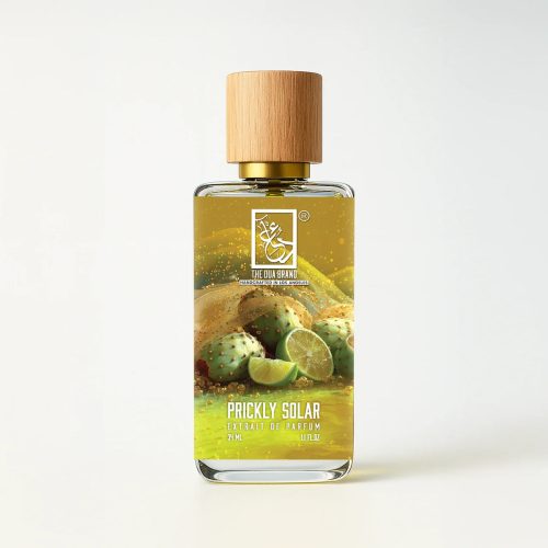 Prickly Solar by The Dua Brand