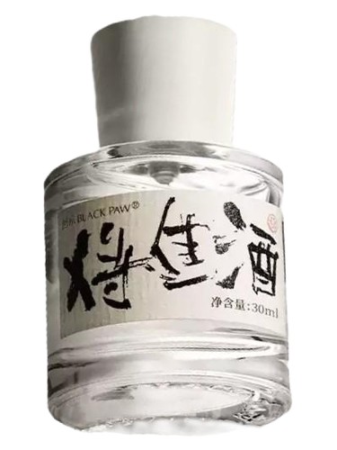 Invitation To Wine 将进酒 by Black Paw