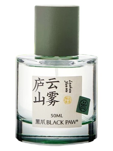 Lushan Yunwu 庐山云雾 by Black Paw