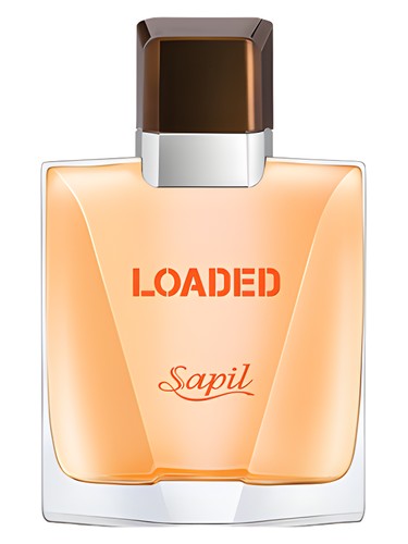 Loaded by Sapil