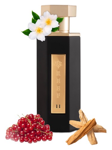 Reef 11 by Reef Perfumes