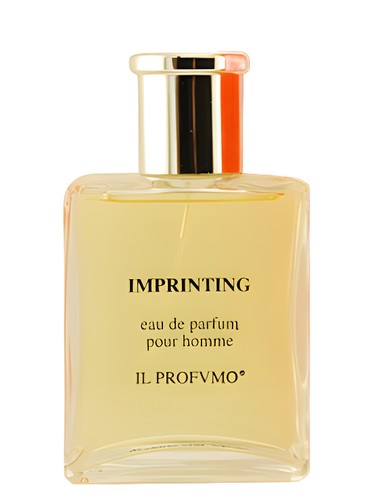 Imprinting by Il Profvmo