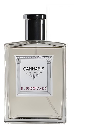 Osmo Scents Cannabis by Il Profvmo