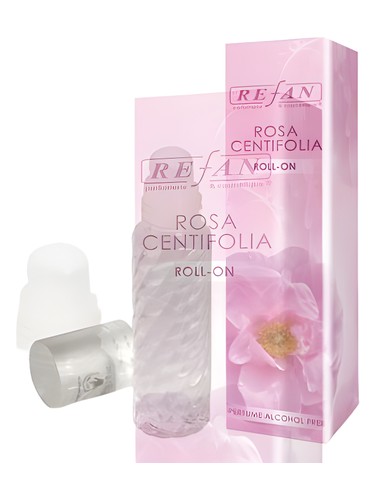 Rosa Centifolia by Refan
