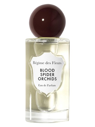Blood Spider Orchids 2025 by Régime des Fleurs