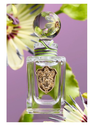 Passiflora by Régime des Fleurs