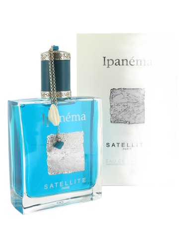 Ipanema by Satellite