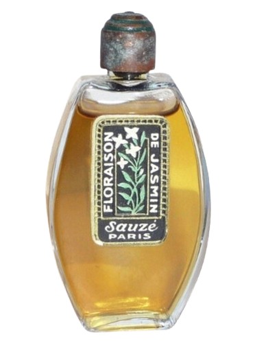 Floraison de Jasmin by Sauzé
