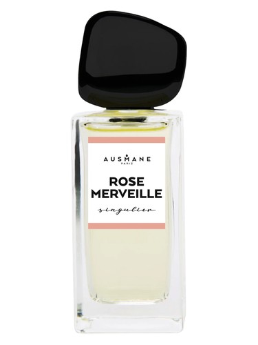 Rose Merveille by Ausmane Paris