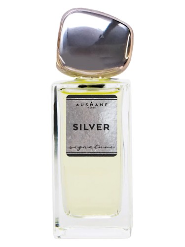 Silver by Ausmane Paris