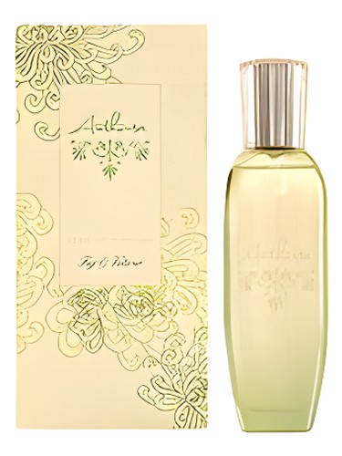 Fig & Vetiver by Anthousa