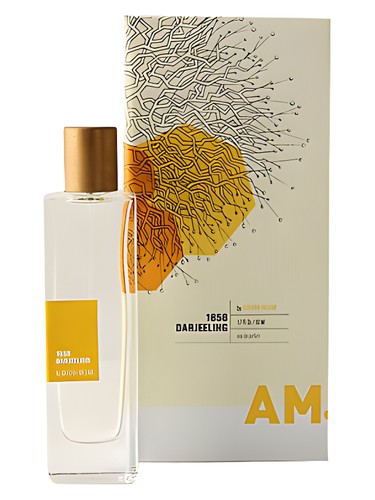 A Rather Novel Collection 1856 Darjeeling by Adriana Medina by Anthropologie
