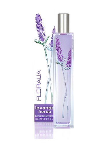 Lavenda Herba by Mayfair