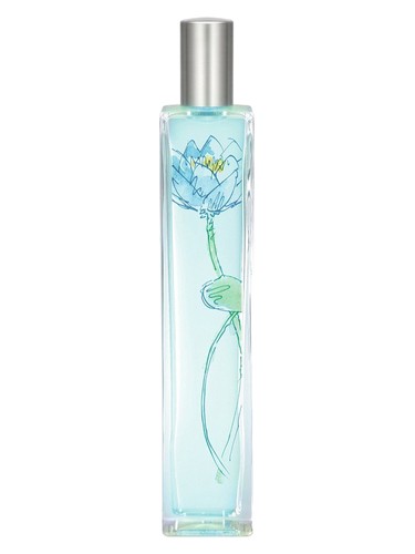 Lotus Maritima by Mayfair